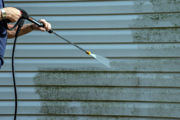 Solar Panel Cleaning in Philo, IL